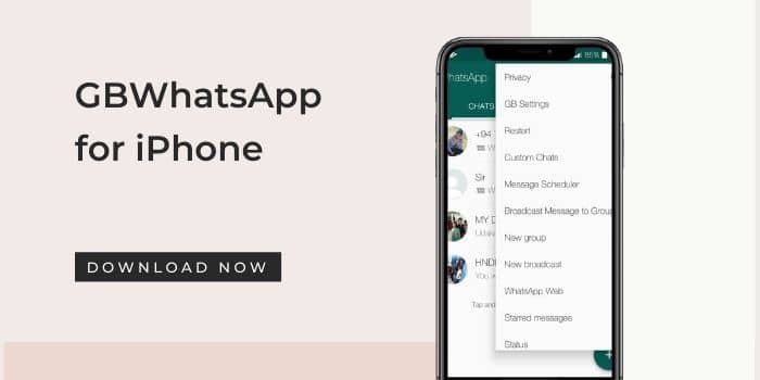 GB WhatsApp App Download Uptodown
